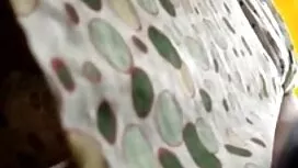 L'uomo è venuto alla ...