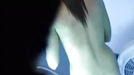 Che cagna tira le mu ...