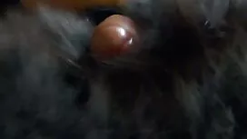 Pulcini bere vino e  ...